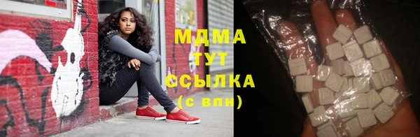 гидра Елабуга