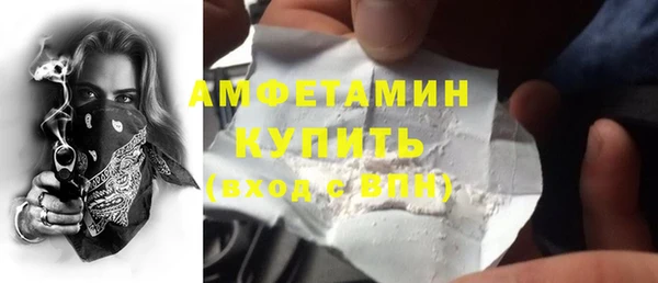 гидра Елабуга