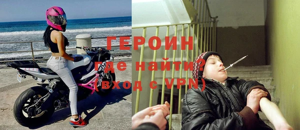 индика Дмитриев