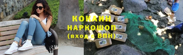 гидра Елабуга