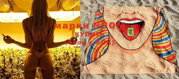 гидра Елабуга