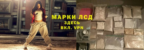 гидра Елабуга