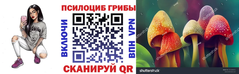 Псилоцибиновые грибы GOLDEN TEACHER  Купить  Талдом 